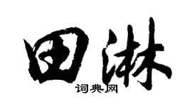 胡问遂田淋行书个性签名怎么写