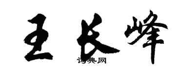 胡问遂王长峰行书个性签名怎么写