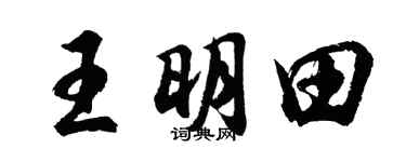 胡问遂王明田行书个性签名怎么写