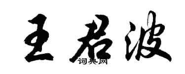 胡问遂王君波行书个性签名怎么写