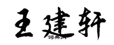 胡问遂王建轩行书个性签名怎么写