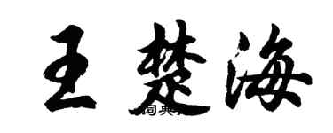 胡问遂王楚海行书个性签名怎么写