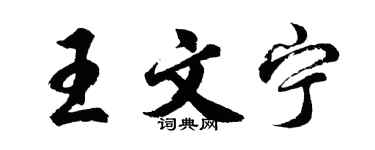 胡问遂王文宁行书个性签名怎么写