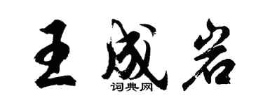 胡问遂王成岩行书个性签名怎么写