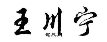 胡问遂王川宁行书个性签名怎么写