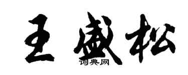 胡问遂王盛松行书个性签名怎么写