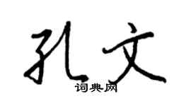 王正良孔文行书个性签名怎么写