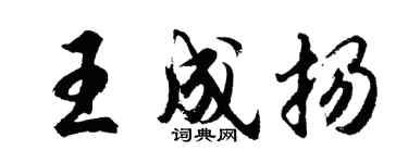 胡问遂王成扬行书个性签名怎么写