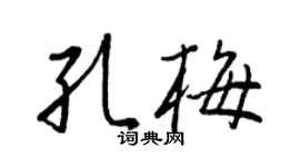 王正良孔梅行书个性签名怎么写