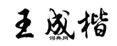 胡问遂王成楷行书个性签名怎么写