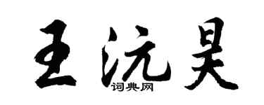 胡问遂王沅昊行书个性签名怎么写