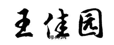 胡问遂王佳园行书个性签名怎么写