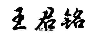 胡问遂王君铭行书个性签名怎么写