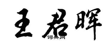 胡问遂王君晖行书个性签名怎么写