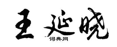 胡问遂王延晓行书个性签名怎么写