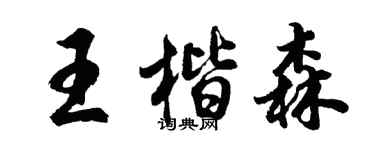 胡问遂王楷森行书个性签名怎么写