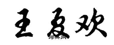 胡问遂王夏欢行书个性签名怎么写