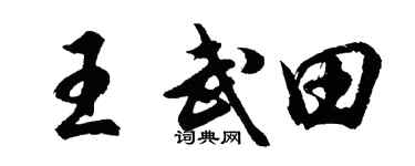 胡问遂王武田行书个性签名怎么写