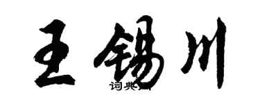 胡问遂王锡川行书个性签名怎么写