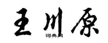 胡问遂王川原行书个性签名怎么写