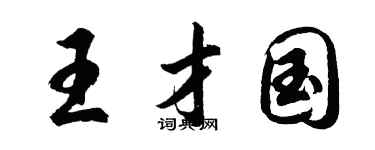 胡问遂王才国行书个性签名怎么写