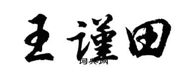 胡问遂王谨田行书个性签名怎么写