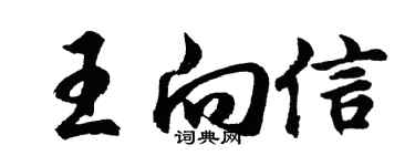 胡问遂王向信行书个性签名怎么写