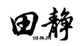 胡问遂田静行书个性签名怎么写