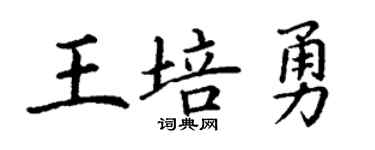 丁谦王培勇楷书个性签名怎么写