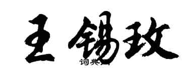 胡问遂王锡玫行书个性签名怎么写