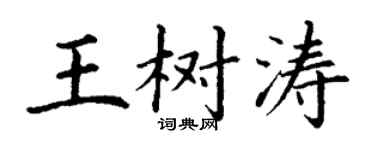 丁谦王树涛楷书个性签名怎么写