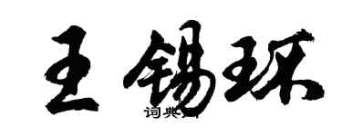 胡问遂王锡环行书个性签名怎么写