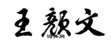 胡问遂王颜文行书个性签名怎么写