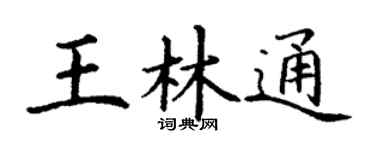 丁谦王林通楷书个性签名怎么写