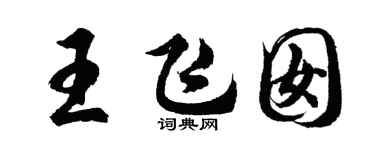 胡问遂王飞囡行书个性签名怎么写