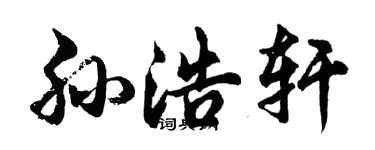 胡问遂孙浩轩行书个性签名怎么写