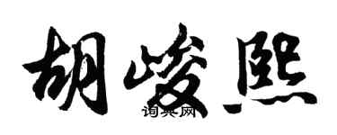 胡问遂胡峻熙行书个性签名怎么写