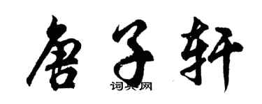 胡问遂唐子轩行书个性签名怎么写