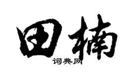 胡问遂田楠行书个性签名怎么写