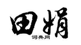 胡问遂田娟行书个性签名怎么写