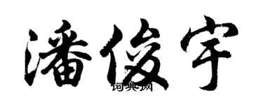 胡问遂潘俊宇行书个性签名怎么写