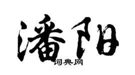 胡问遂潘阳行书个性签名怎么写