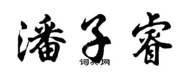 胡问遂潘子睿行书个性签名怎么写