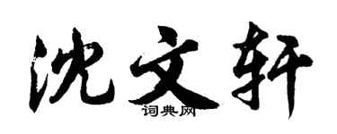 胡问遂沈文轩行书个性签名怎么写