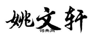 胡问遂姚文轩行书个性签名怎么写