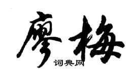 胡问遂廖梅行书个性签名怎么写