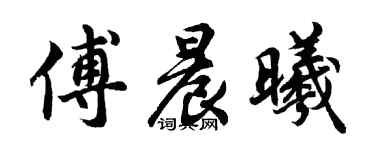 胡问遂傅晨曦行书个性签名怎么写