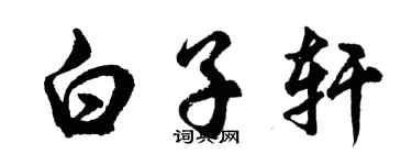 胡问遂白子轩行书个性签名怎么写