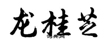 胡问遂龙桂芝行书个性签名怎么写