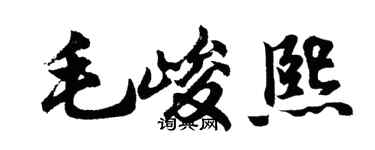 胡问遂毛峻熙行书个性签名怎么写